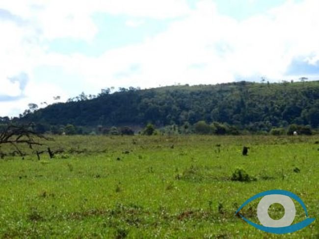 Indert busca regularizar unas 250 mil hect�reas en Amambay