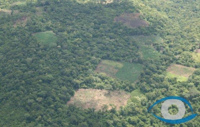 Maco�eros desarma a cuatro polic�as, los golpea y los arroja a un camino vecinal 