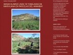 senad-manipula-informaci-n-acerca-de-la-destrucci-n-de-marihuana-en-el-amambay-